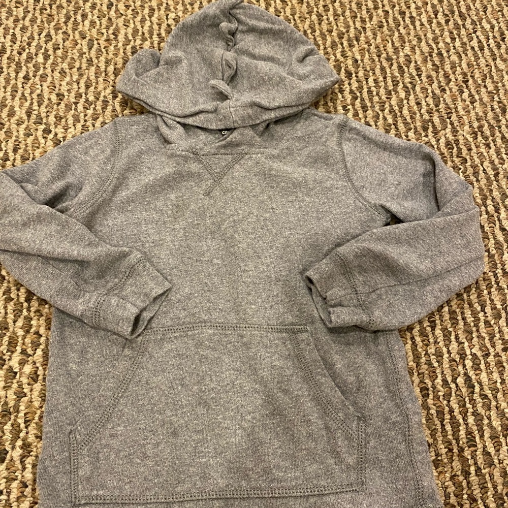 Dinosaur themed hooded sweatshirt